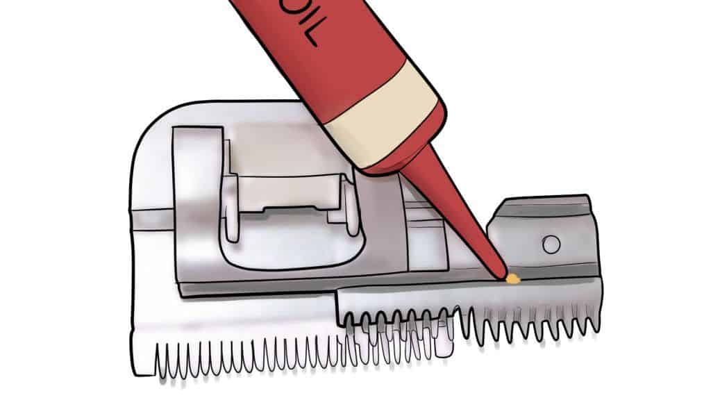 how to maintain your hair clippers 4