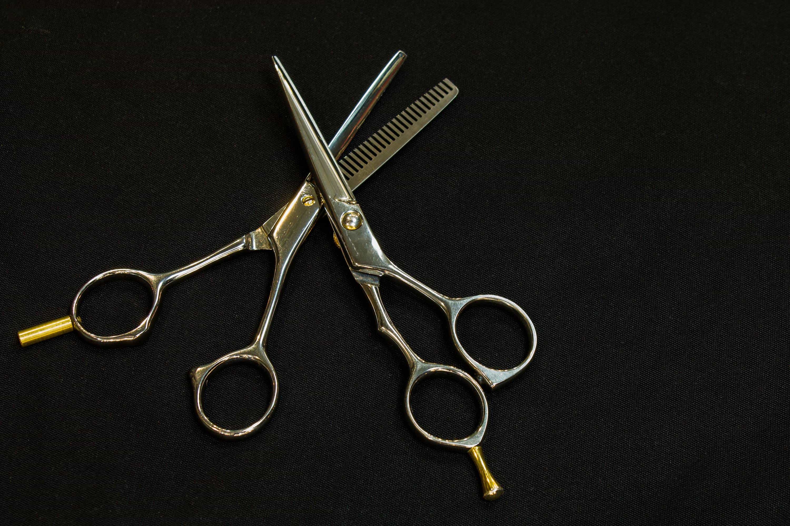 equinox scissors set
