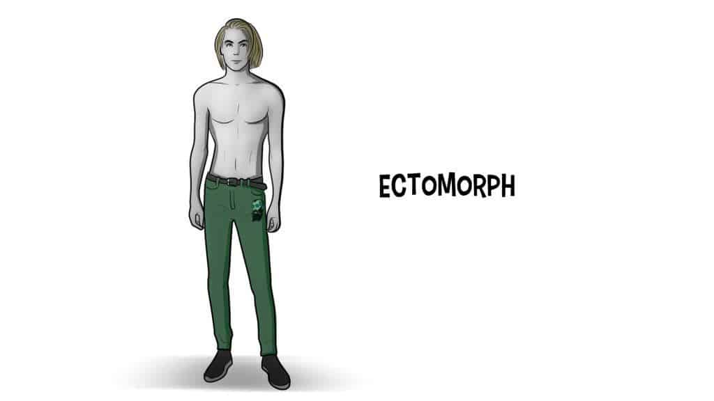 ectomorph
