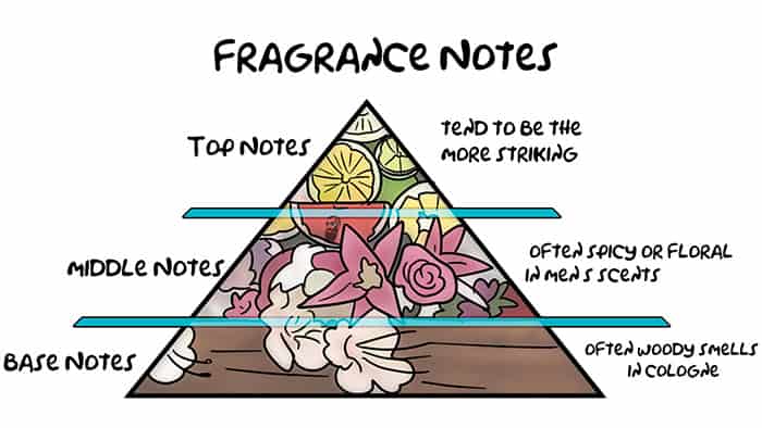 how to properly appreciate the scent of your cologne